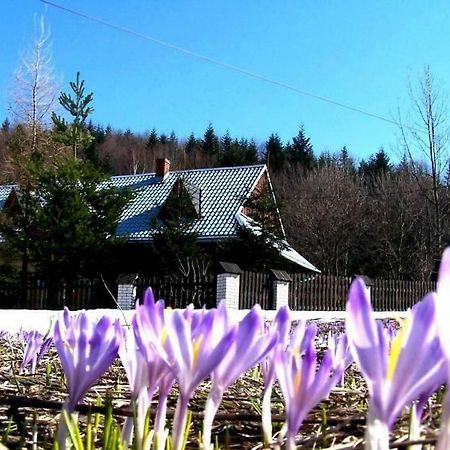 Goralska Czarcia Chata Pod Jalowcem Stryszawa Esterno foto