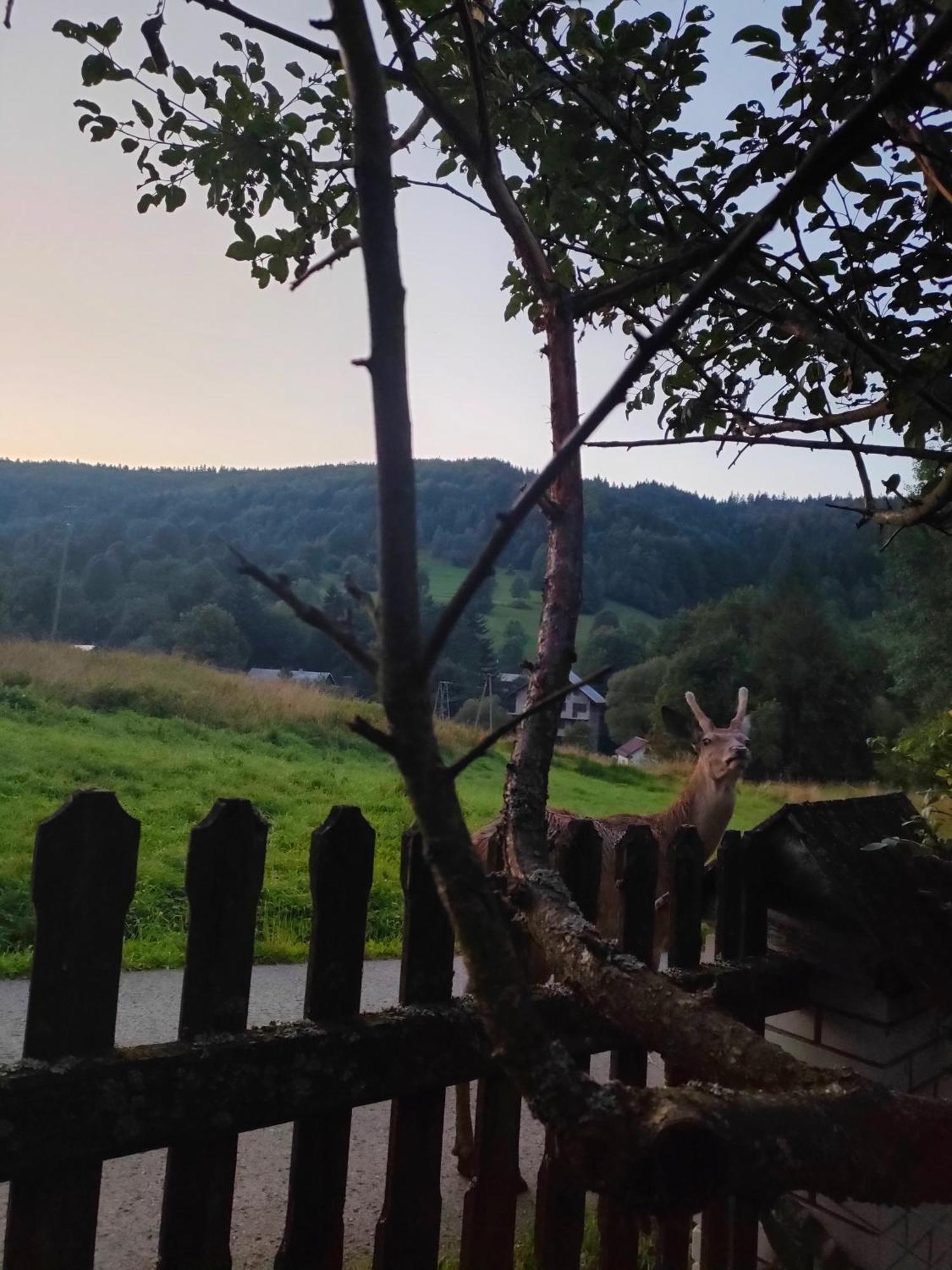 Goralska Czarcia Chata Pod Jalowcem Stryszawa Esterno foto