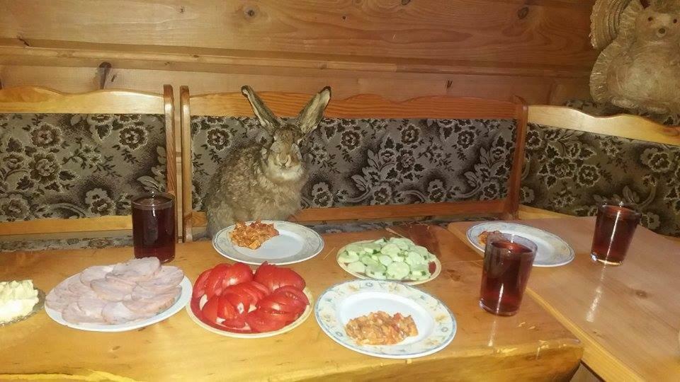 Goralska Czarcia Chata Pod Jalowcem Stryszawa Esterno foto